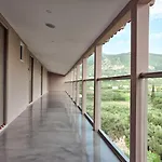 Koukounaria &